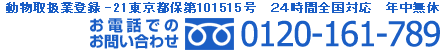 動物取扱業登録－11東京都保第101515号 24時間対応可能 年中無休 お電話でのお問い合わせ 0120-161-789